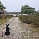 Hemelvaartsdagviering 29 05 2025 (2)